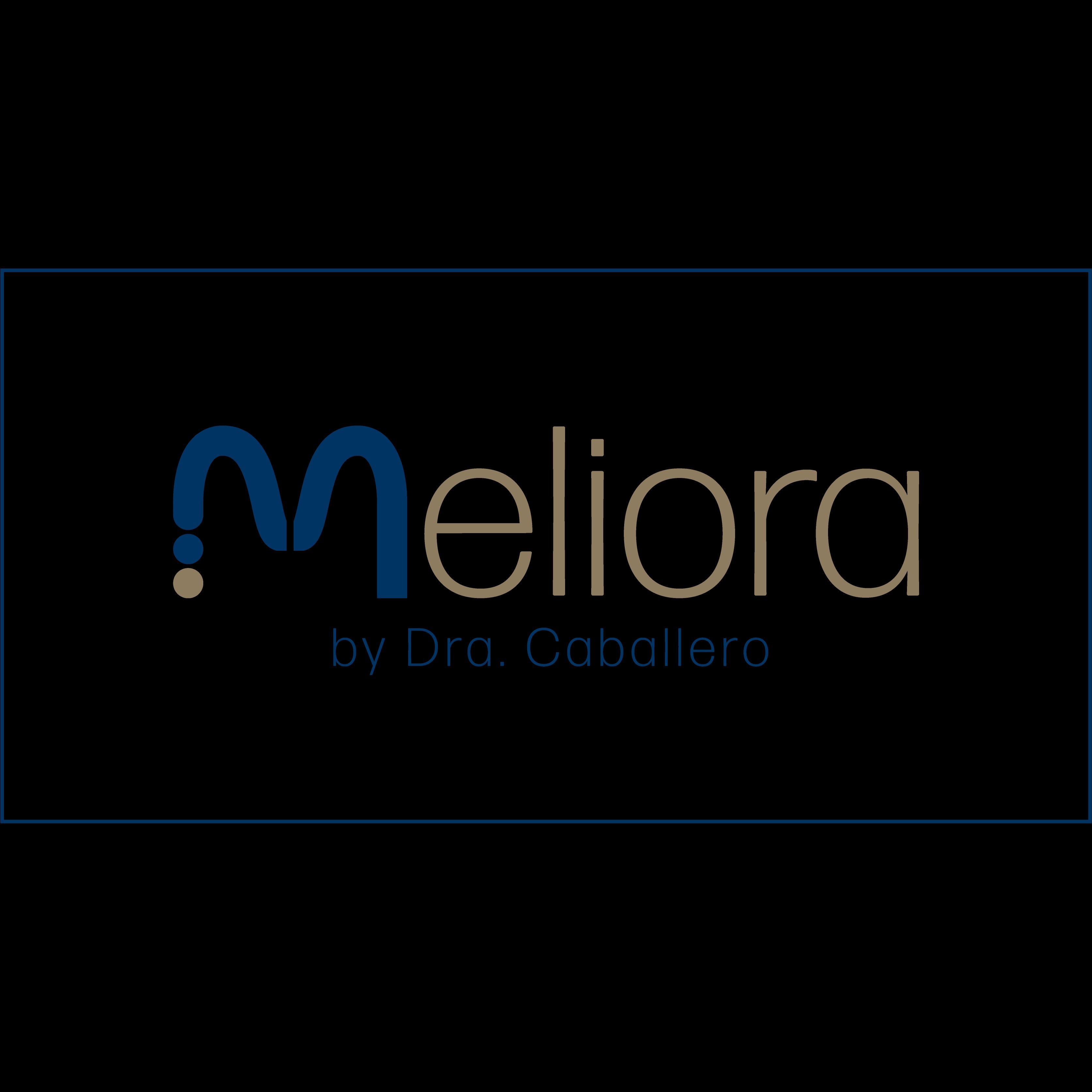 logo_Clínica Meliora