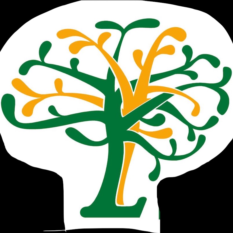 Logo de LIMCASALUD S.L.